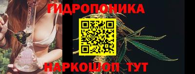 ECSTASY Кингисепп