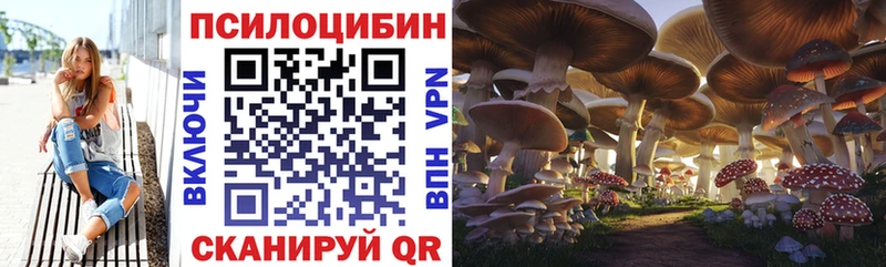 Галлюциногенные грибы Psilocybine cubensis  Осинники 
