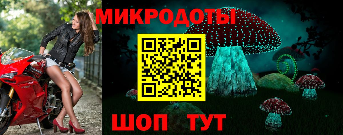 Псилоцибиновые грибы Cubensis Осинники