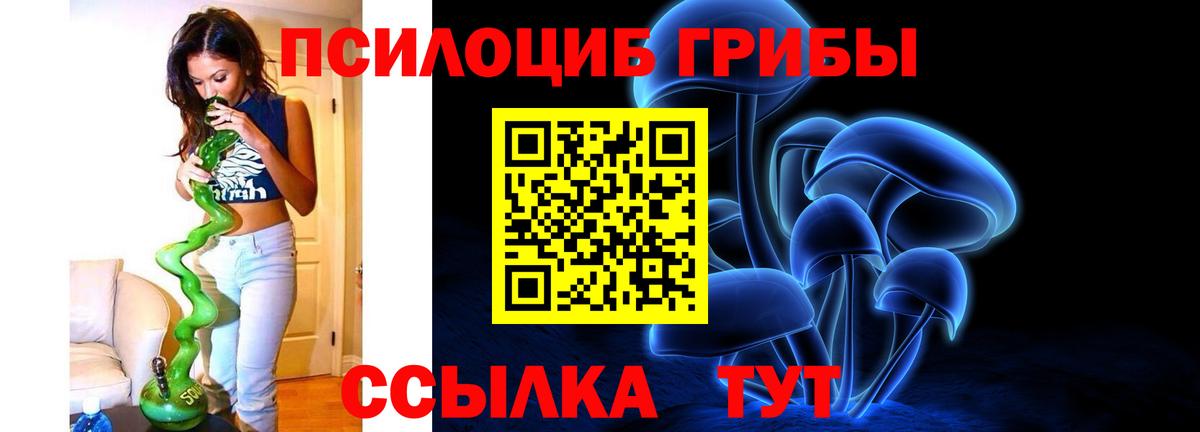 Осинники  Псилоцибиновые грибы GOLDEN TEACHER  Вход с VPN 